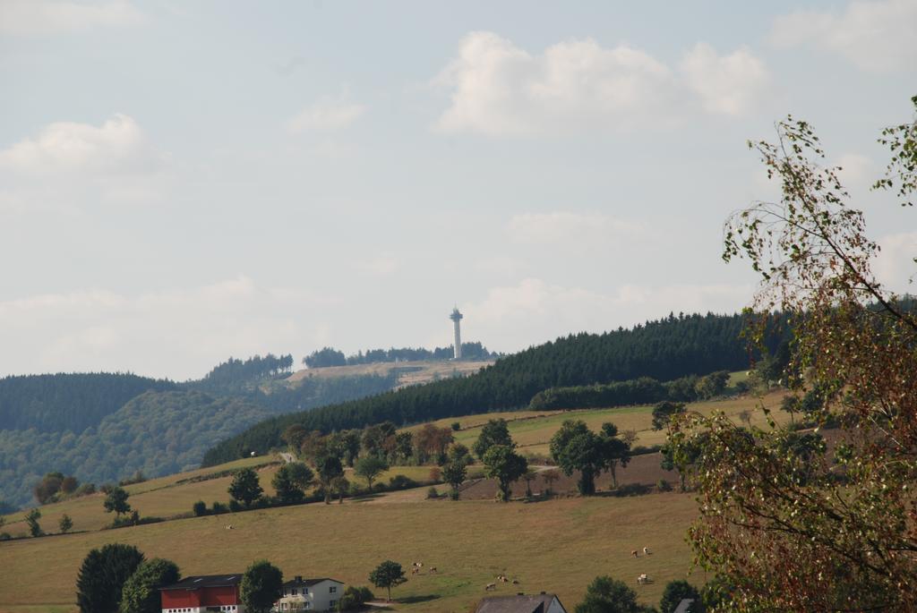 Pension Robin Hood Willingen  Exterior photo