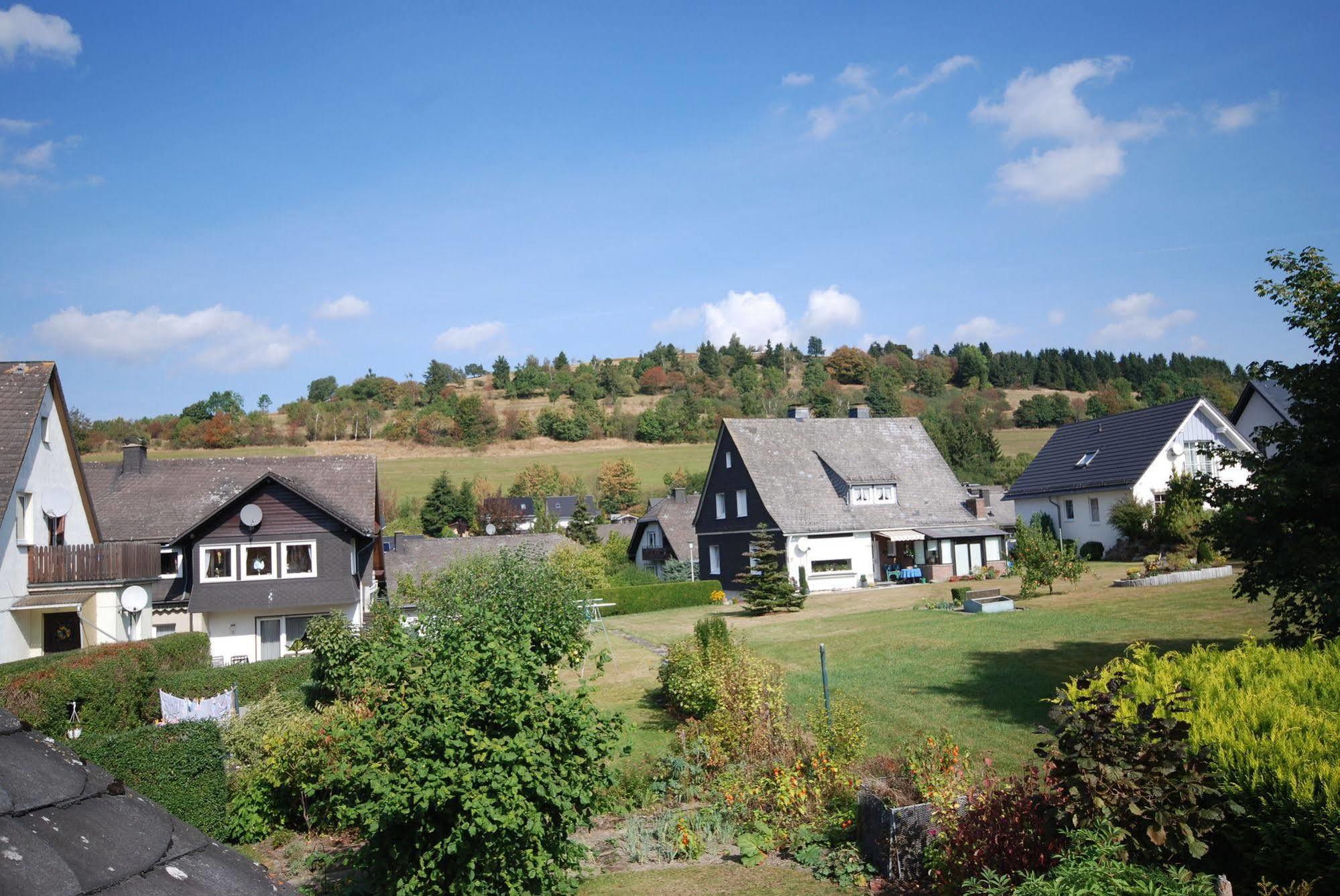 Pension Robin Hood Willingen  Exterior photo