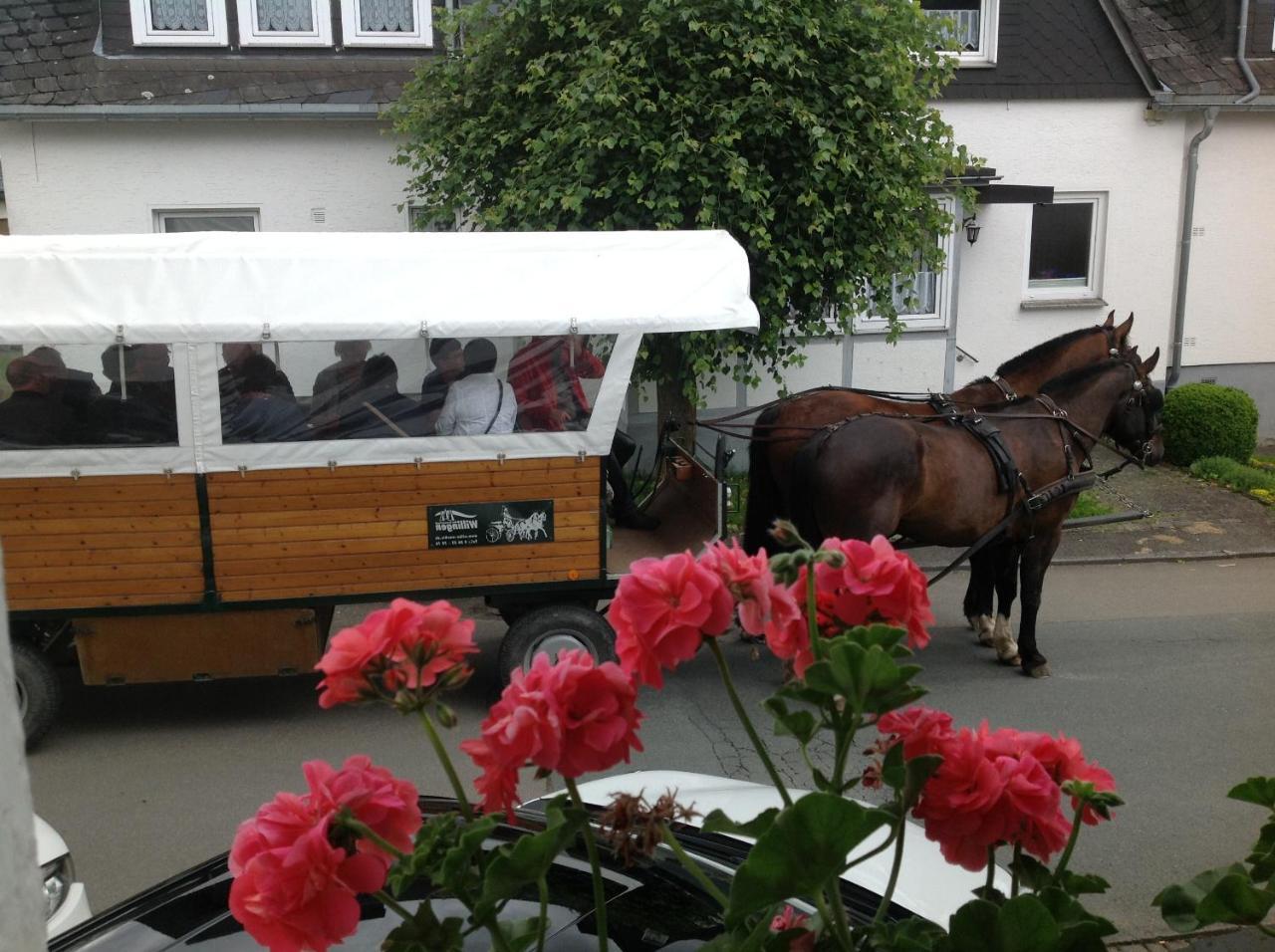 Pension Robin Hood Willingen  Exterior photo